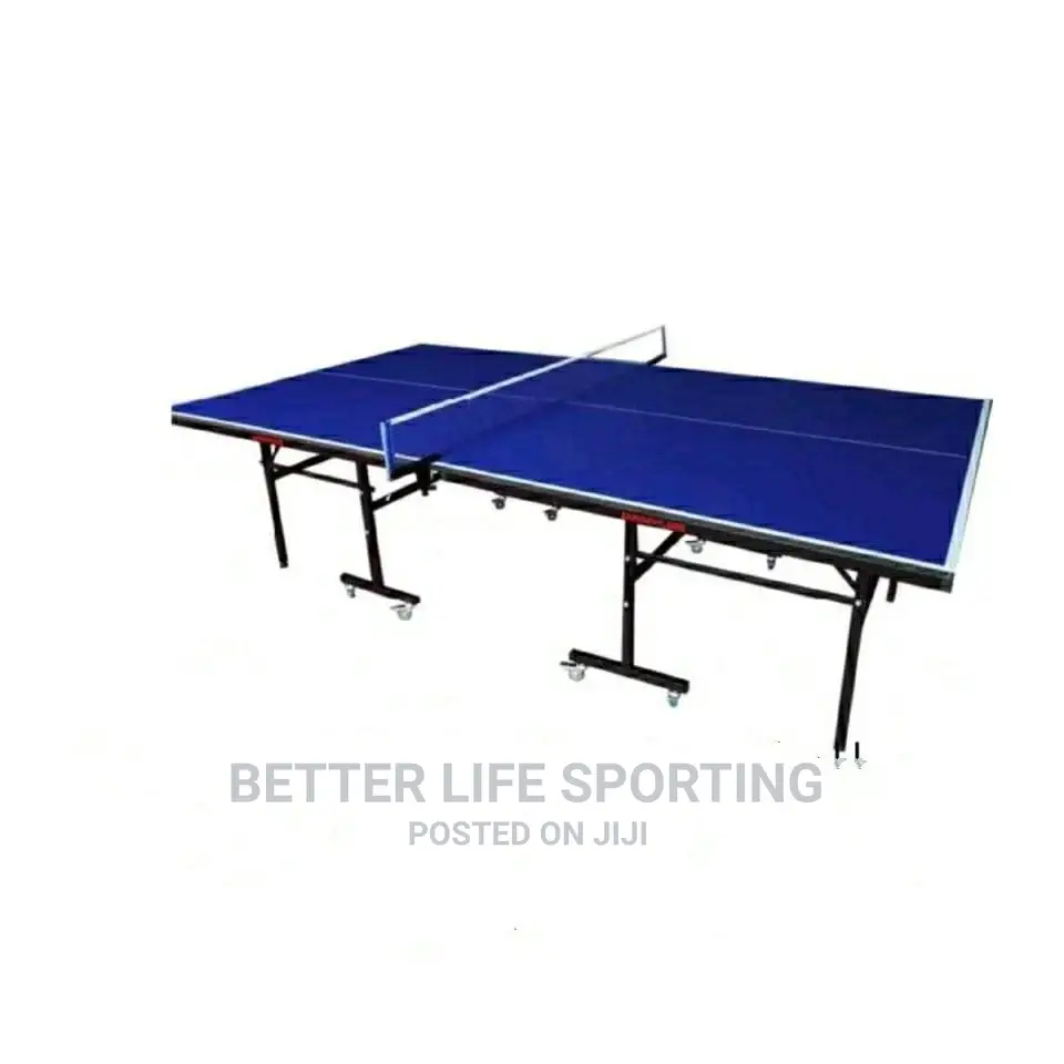 Table Tennis Table Water Proof