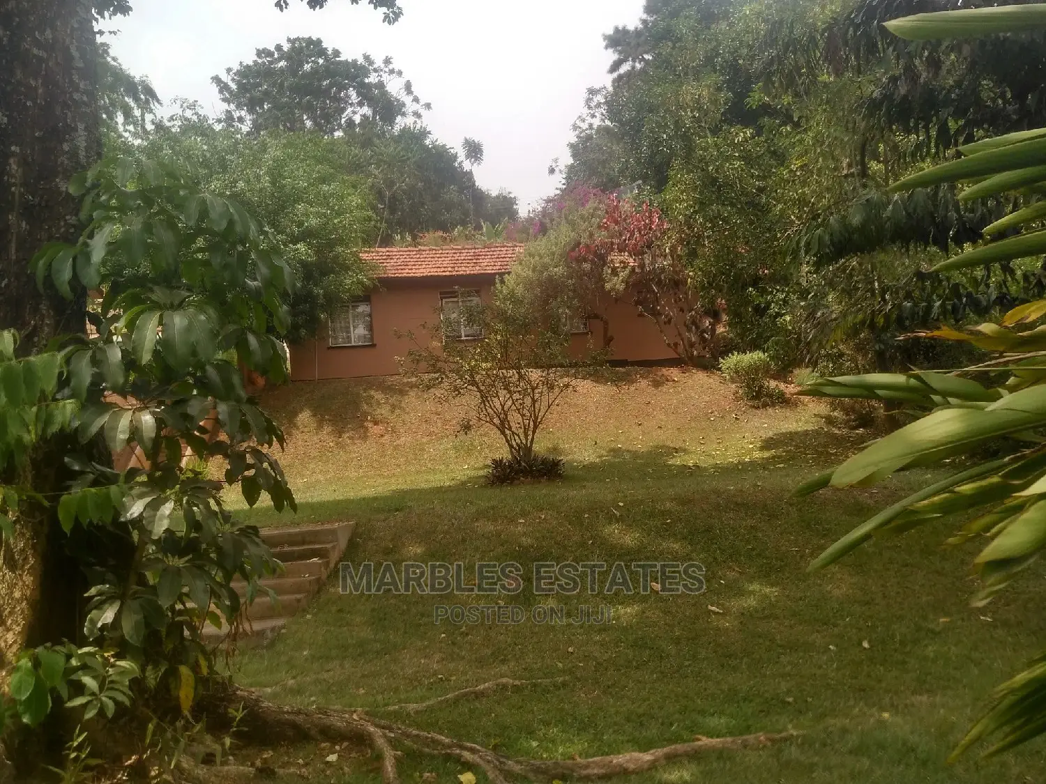 4bdrm Mansion in Mbuya, Central Division for Rent