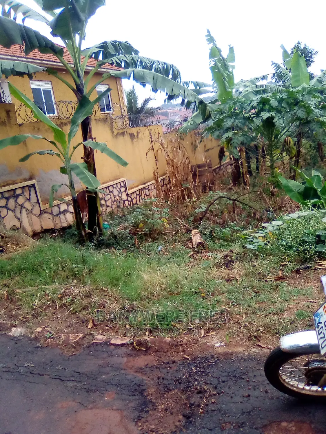 100/100 in Naalya Behind Quality Supermarket