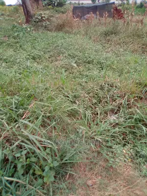 50/100 Plot for Sale in Lumuli Seeta