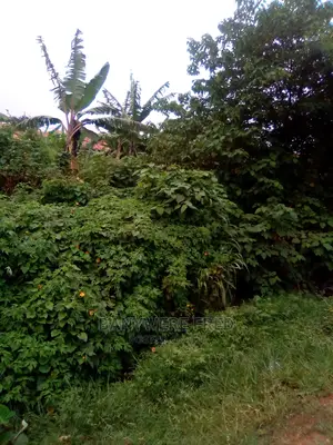 50/100 Plot for Sale in Nangabo