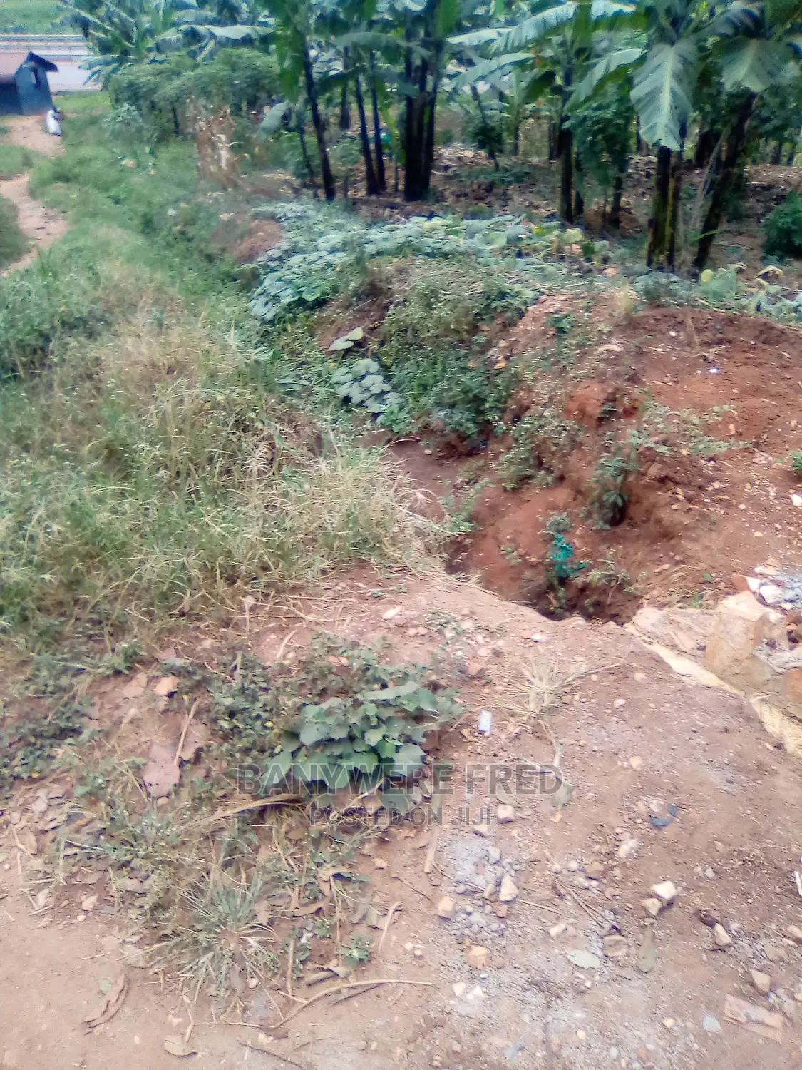 50/100 Plot for Sale in Kyumu