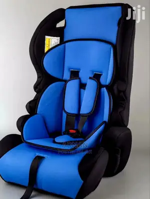 Baby Car Sits