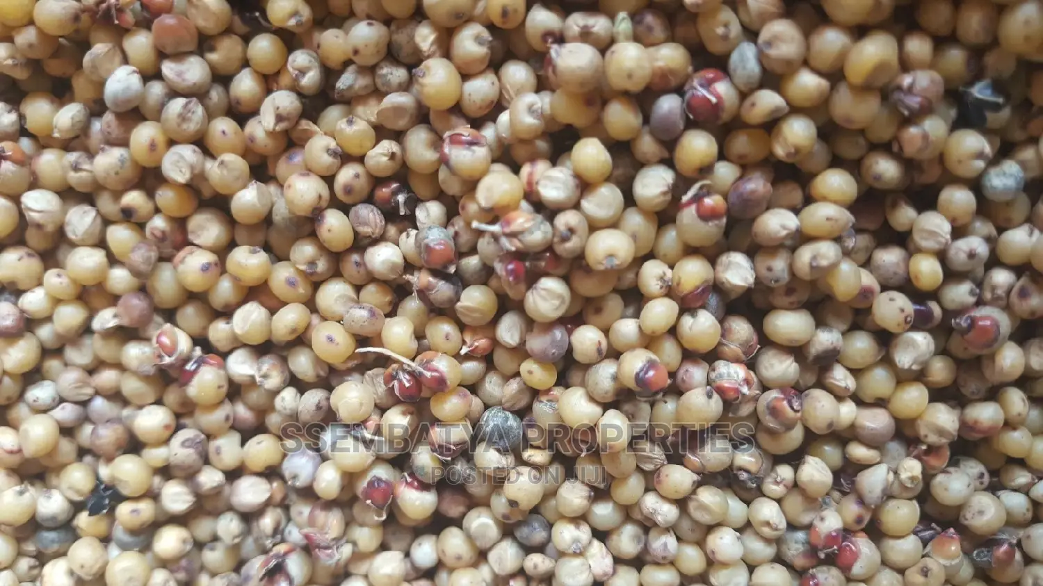 Produce Stores, Beans, Maize, Maize Flour, Sorghum, Peas Etc