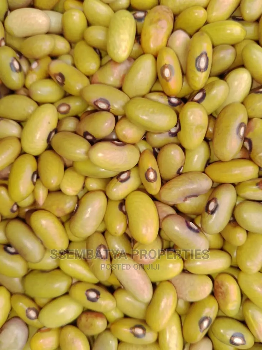 Produce Stores, Beans, Maize, Maize Flour, Sorghum, Peas Etc