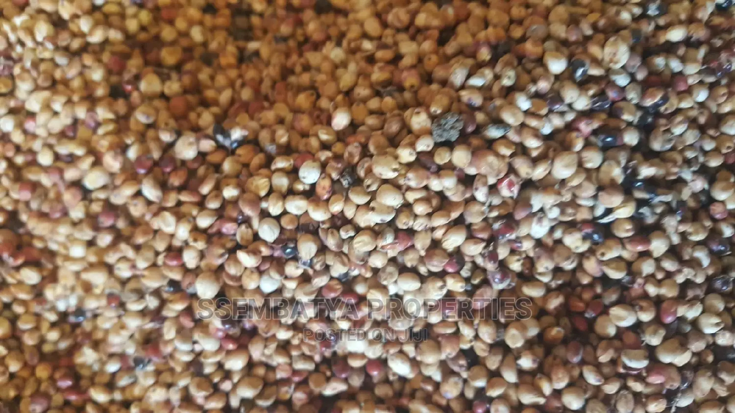 Produce Stores, Beans, Maize, Maize Flour, Sorghum, Peas Etc