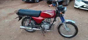 Bajaj Pulsar NS 200 2020 Red