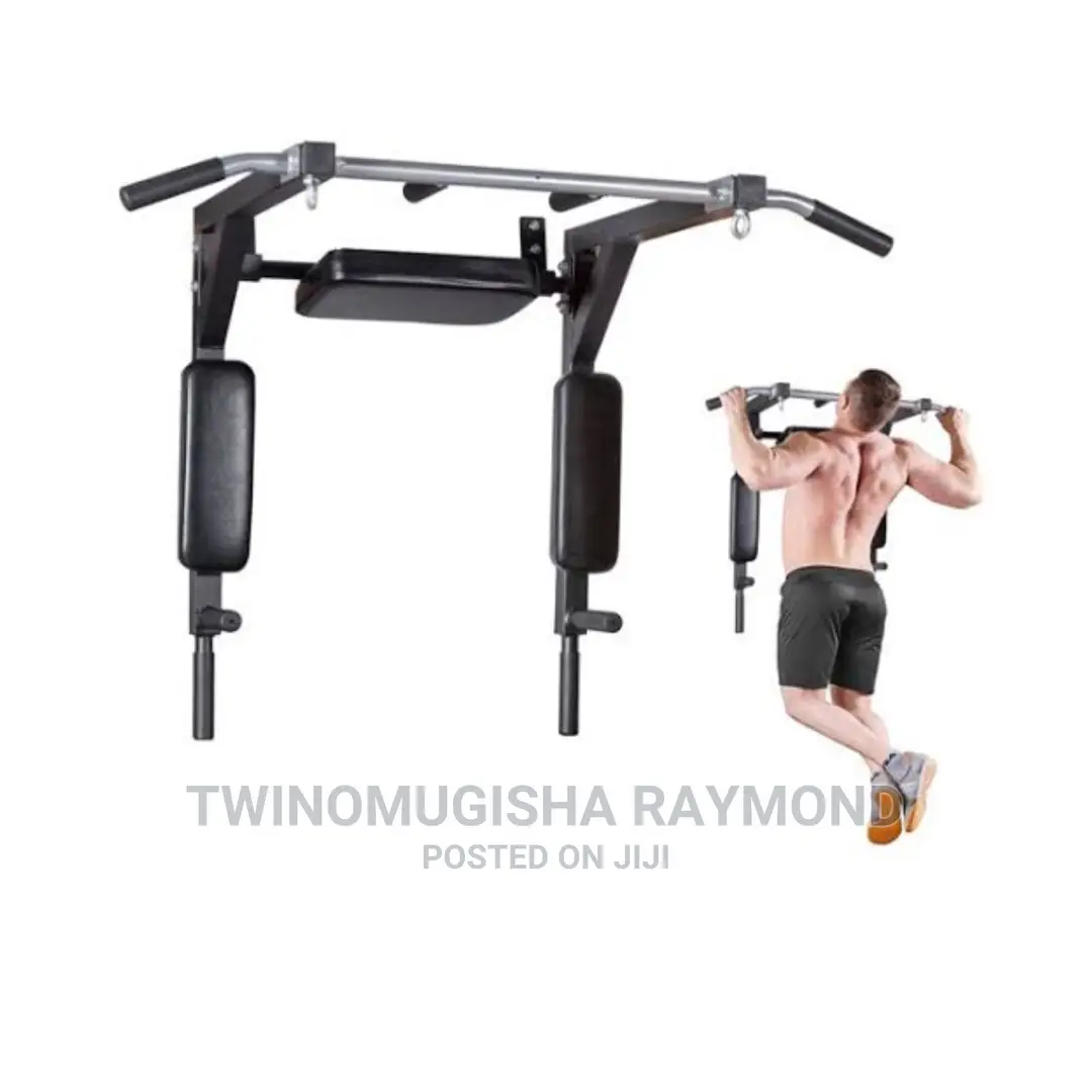 Wall Mounted Pull Up/Chin-Up Bar