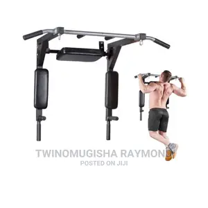 Wall Mounted Pull Up/Chin-Up Bar