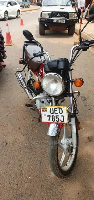 TVS Apache 180 RTR 2020 Brown