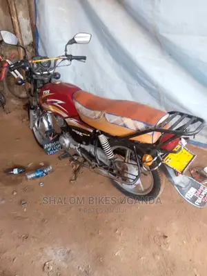 TVS Apache 160 4V 2019 Green