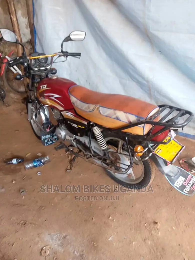 TVS Apache 160 4V 2019 Green