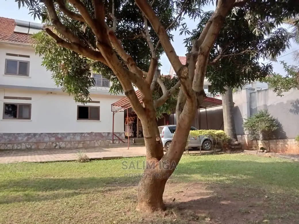 5bdrm Duplex in Kololo Property, Central Division for Rent