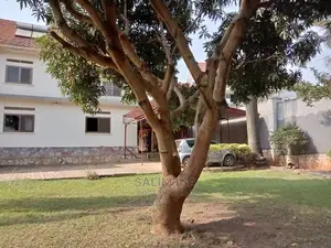 Photo - 5bdrm Duplex in Kololo Property, Central Division for Rent
