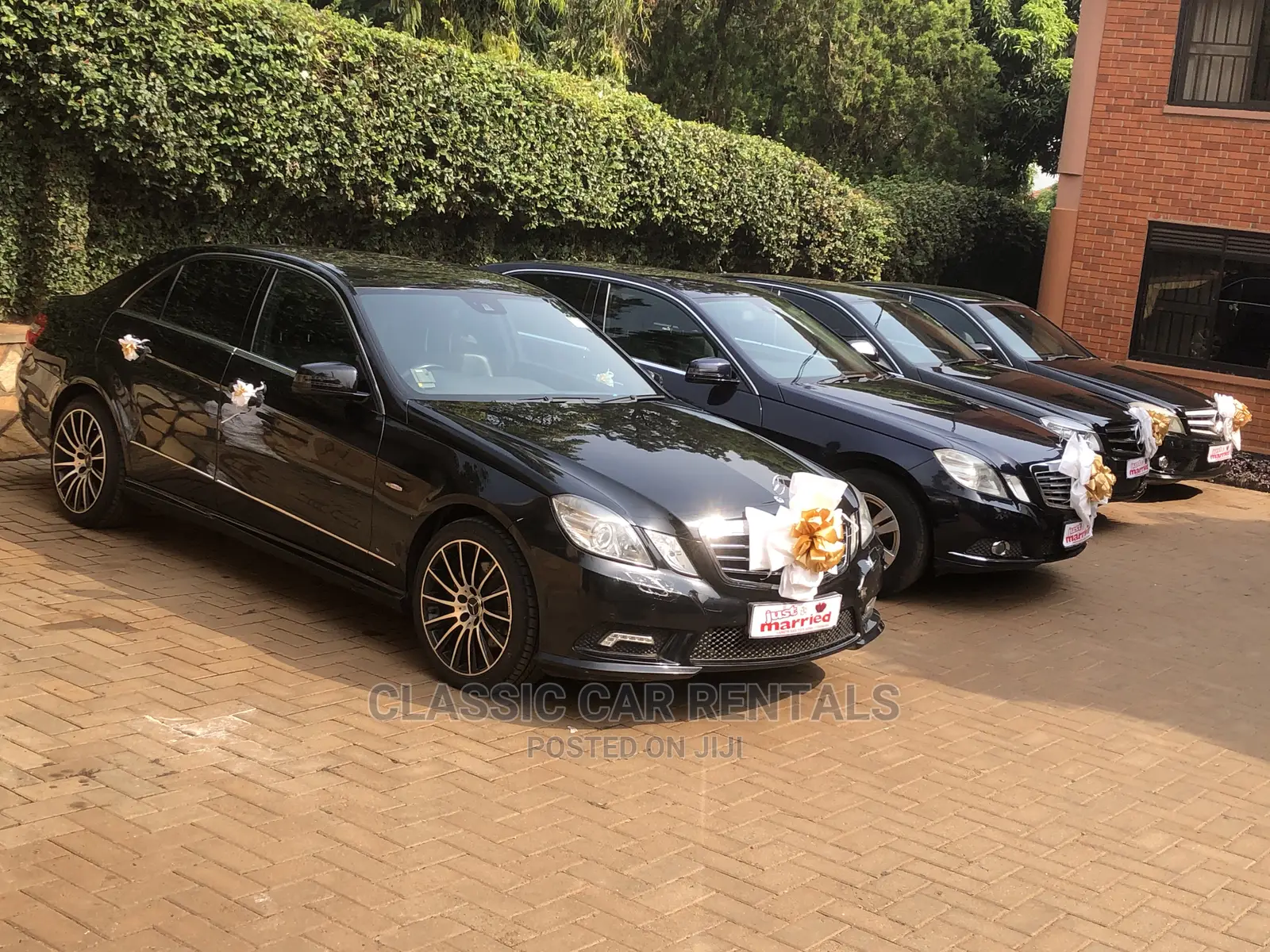 Classic Mercedese Benz Cars for Rent