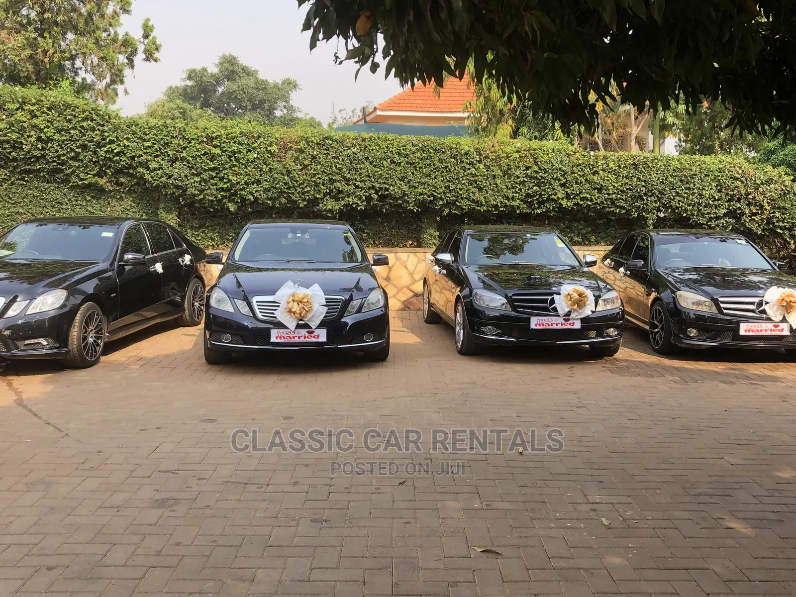 Classic Mercedese Benz Cars for Rent