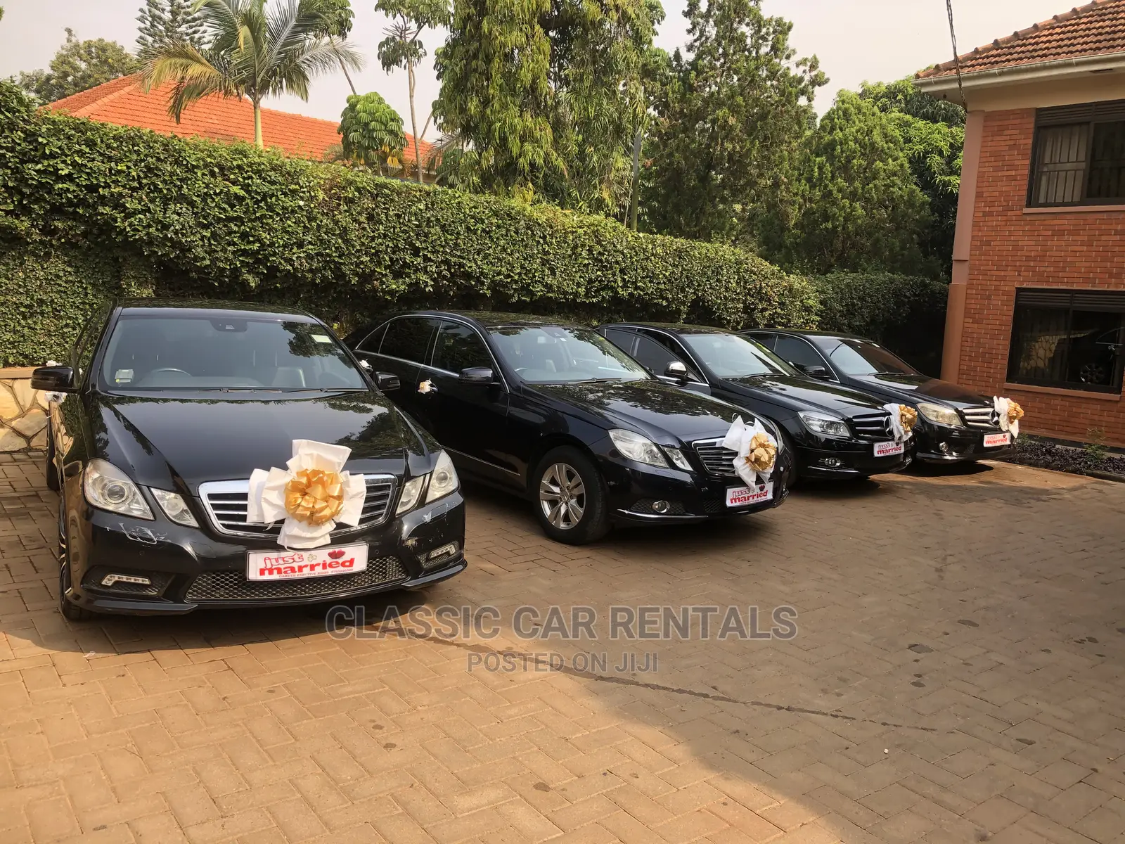 Classic Mercedese Benz Cars for Rent