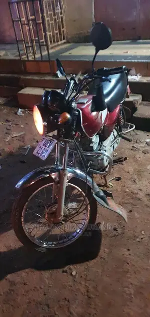 Bajaj Pulsar NS 200 2020 Brown