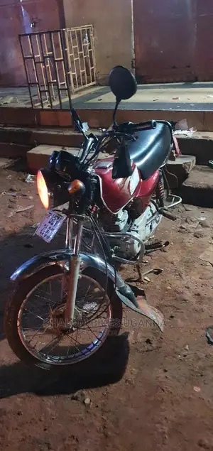 Bajaj Pulsar NS 200 2020 Brown