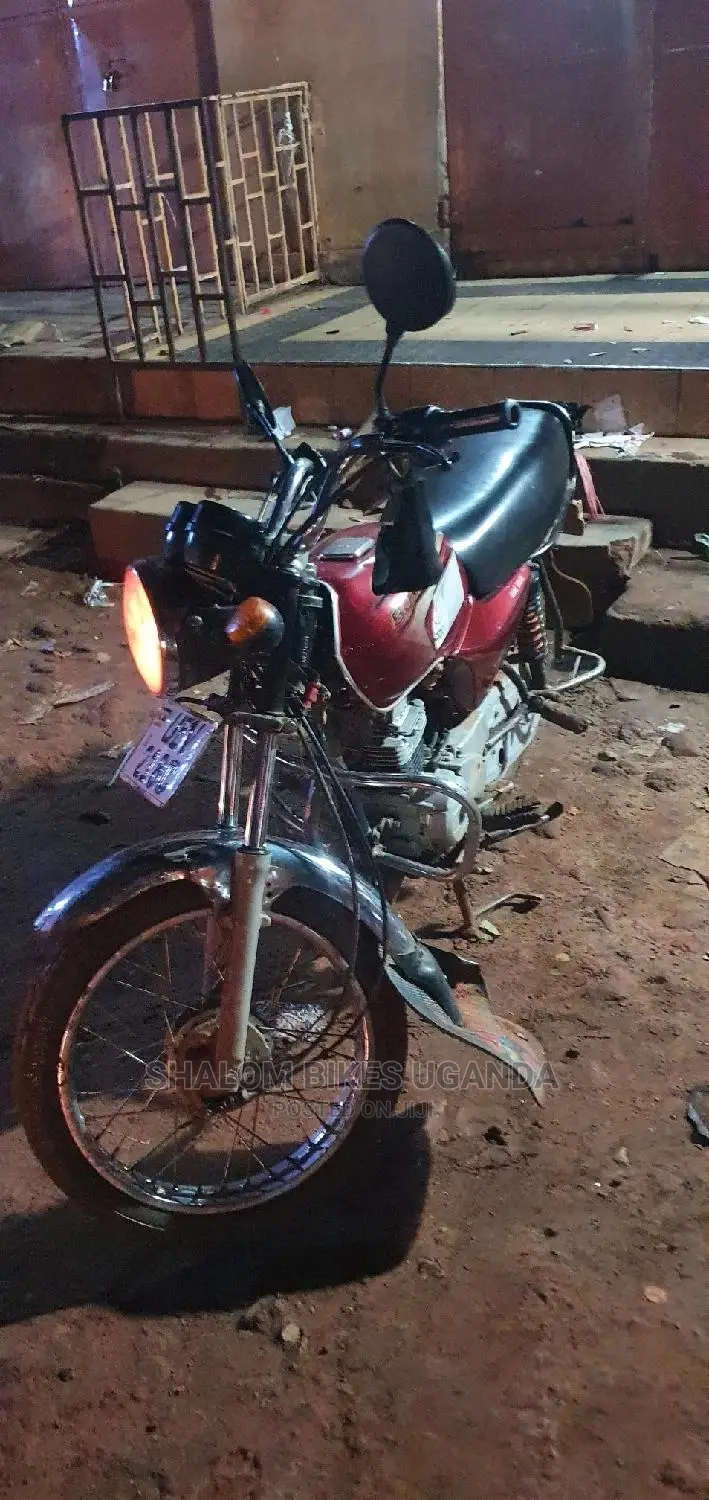 Bajaj Pulsar NS 200 2020 Brown