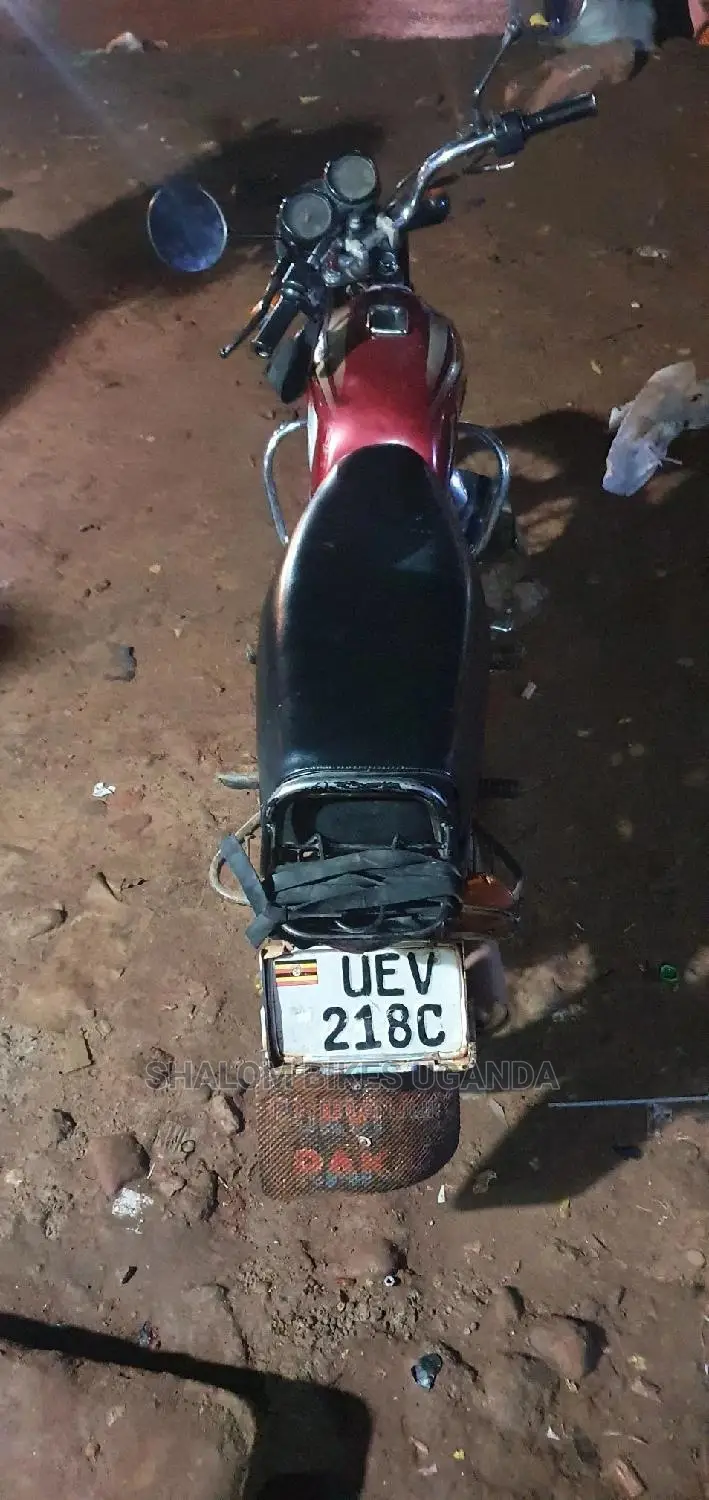 Bajaj Pulsar NS 200 2020 Brown