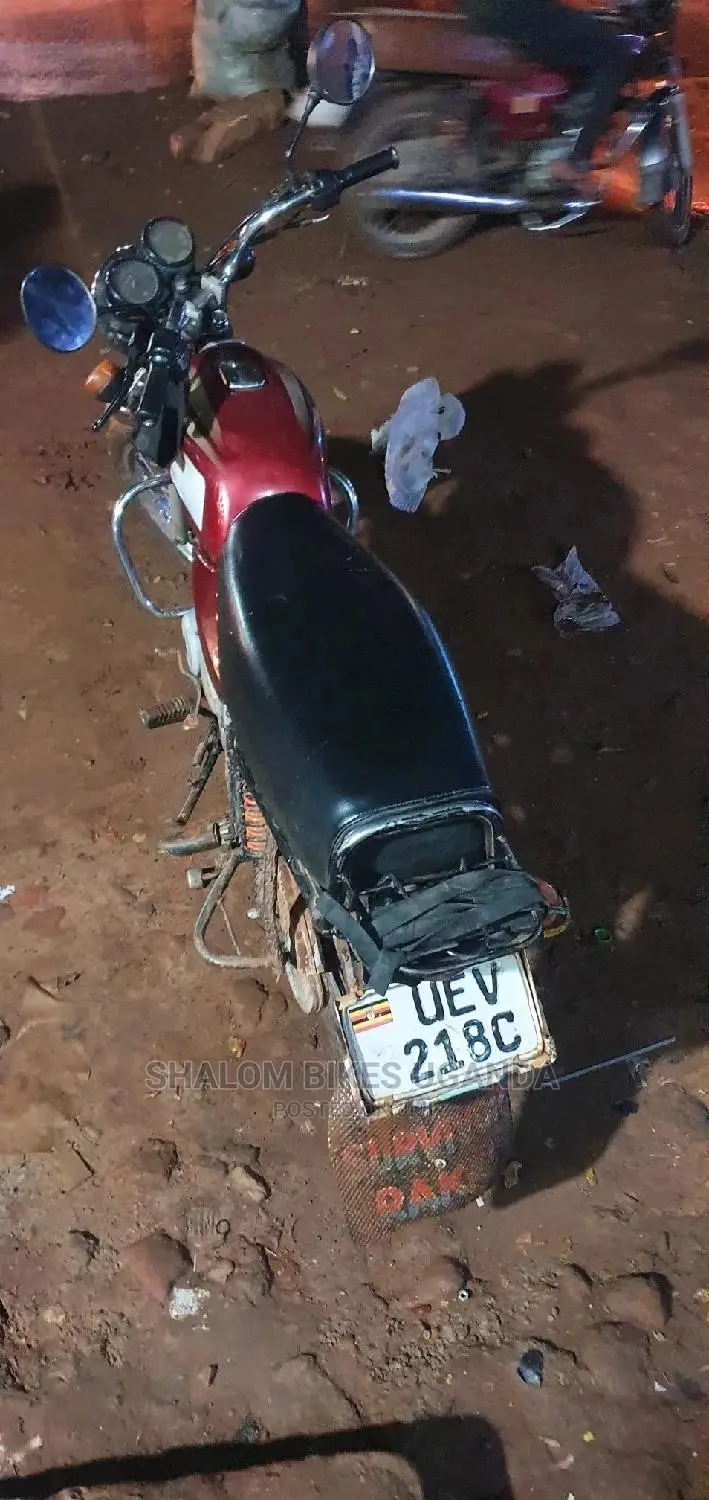 Bajaj Pulsar NS 200 2020 Brown