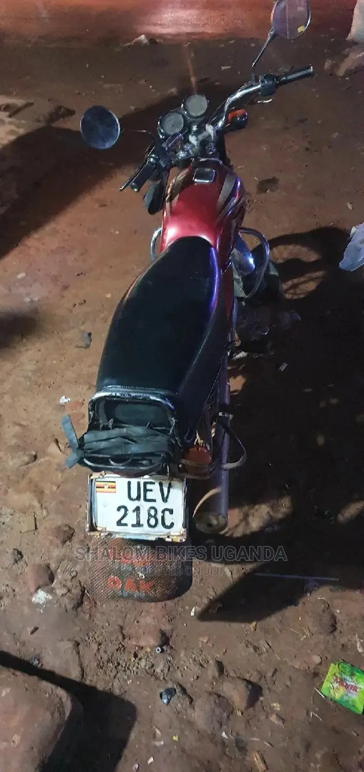 Bajaj Pulsar NS 200 2020 Brown