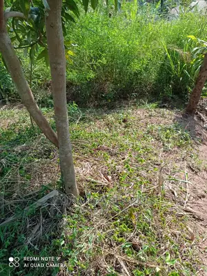 Plots for Sale in Busika