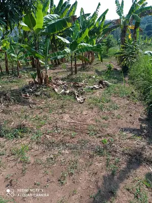 Plots for Sale in Busika