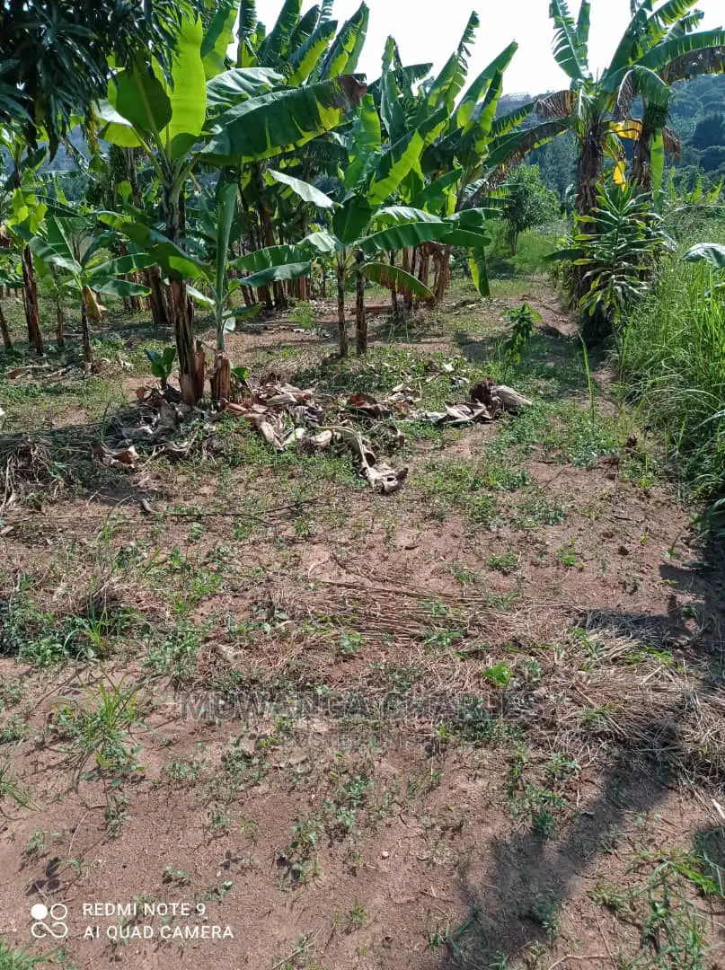 Plots for Sale in Busika
