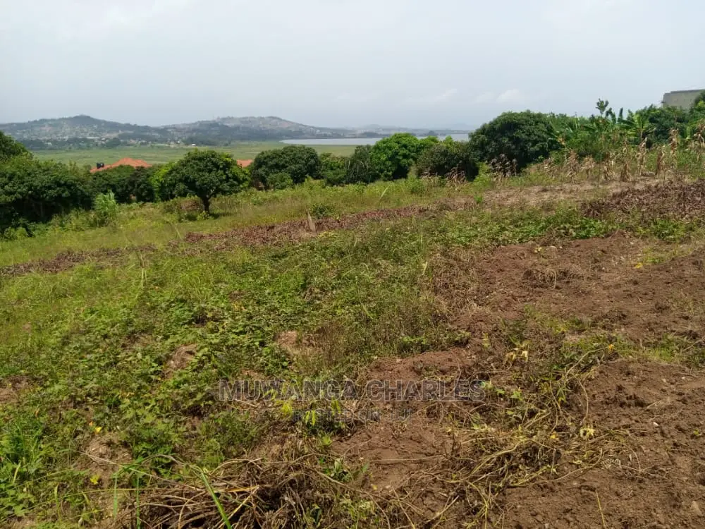 Plot for Sale in Nakwero Gayaza