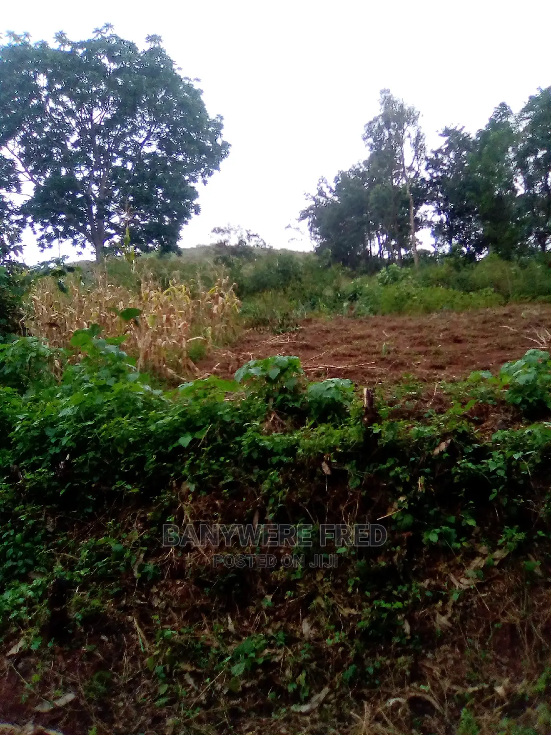 50/100 Plot for Sale in Mbalala Mukono