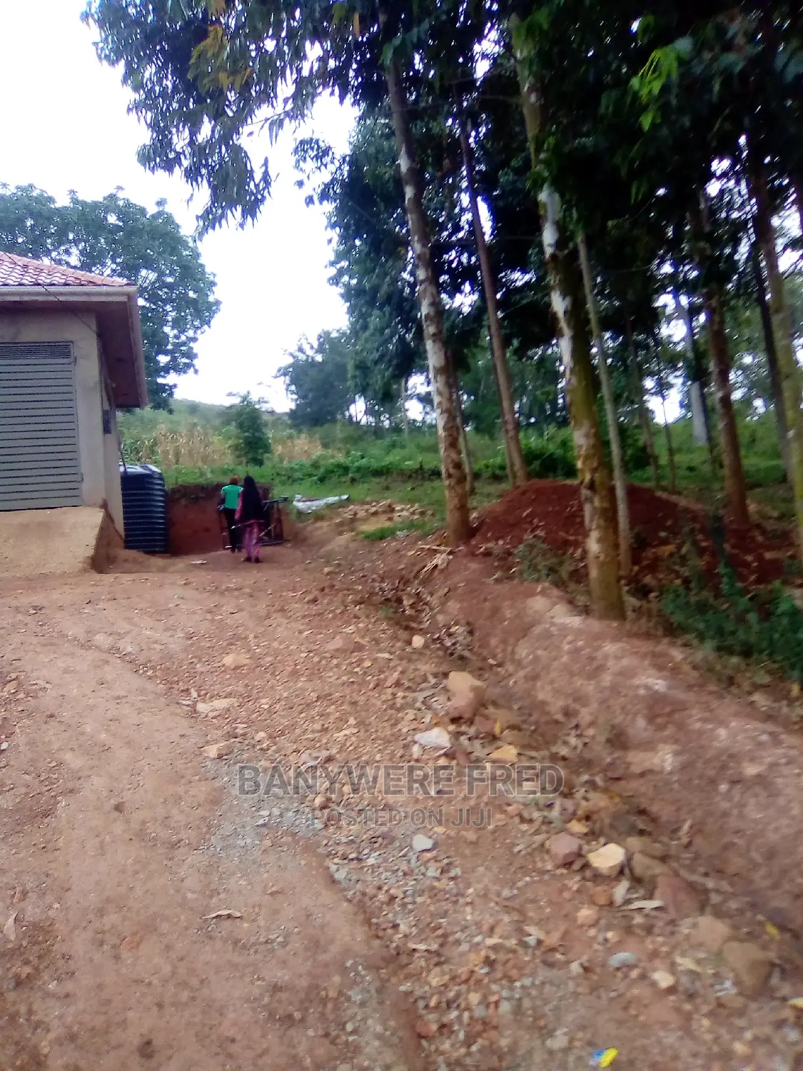 50/100 Plot for Sale in Walusubi