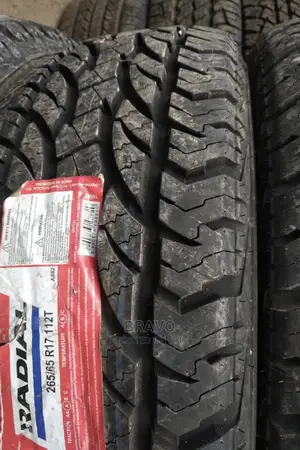 265/65r17 GT Savero(Indonesia)