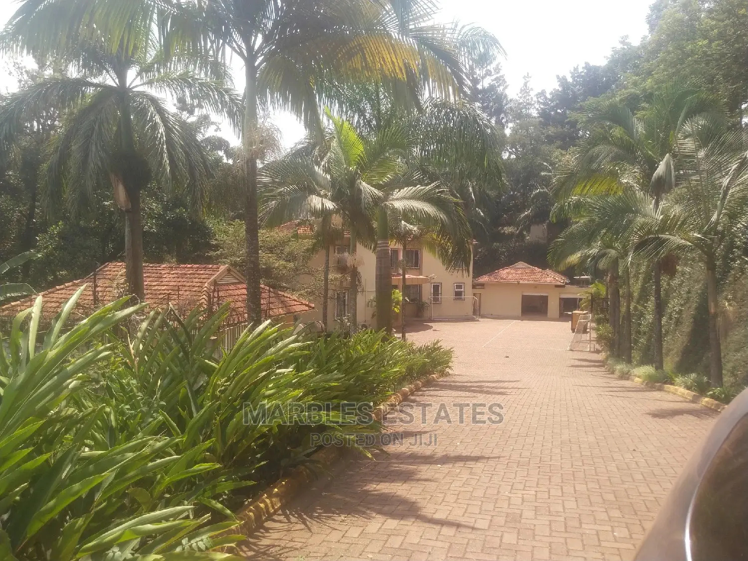 10bdrm House in Kololo, Central Division for Rent