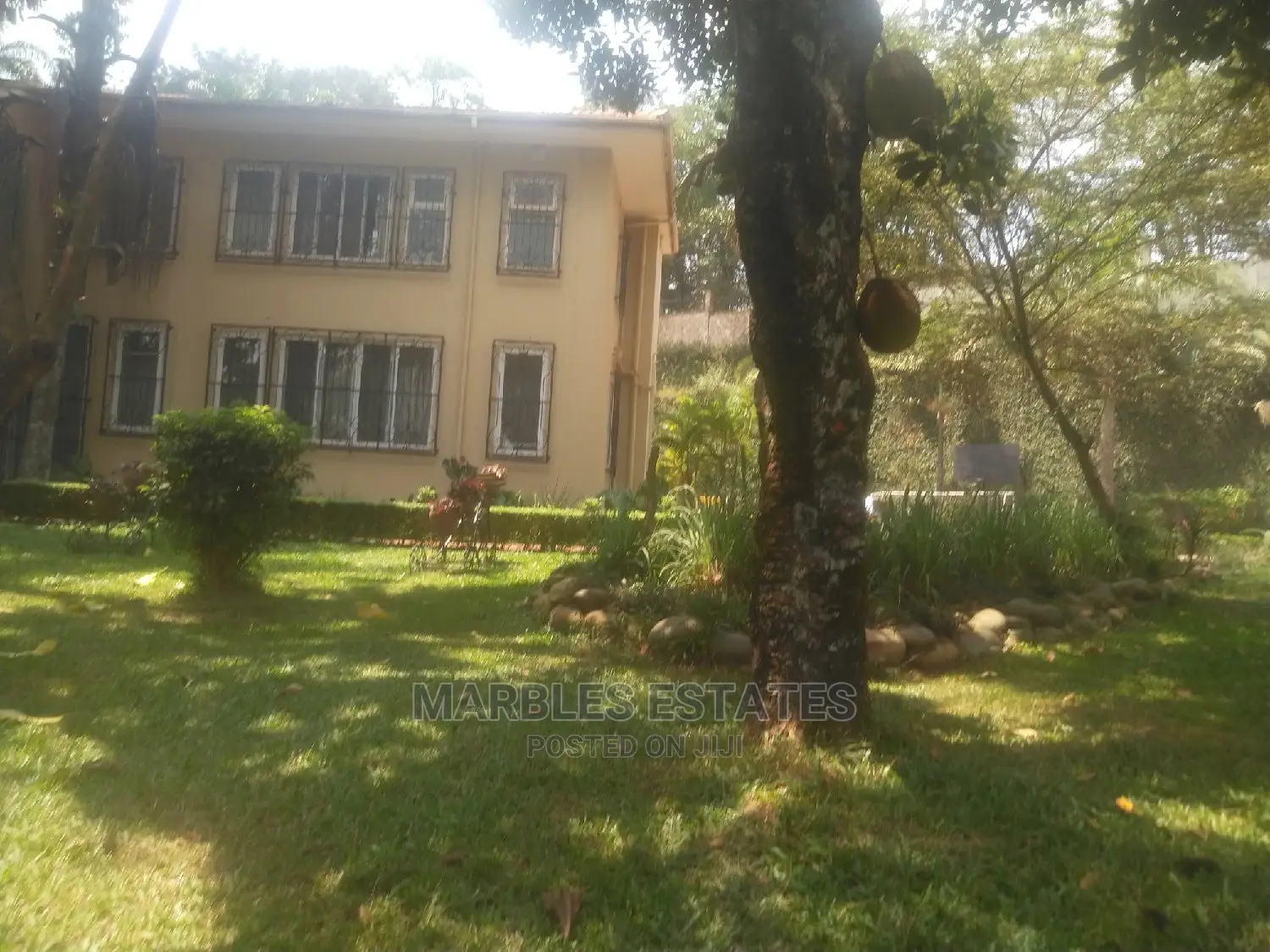 10bdrm House in Kololo, Central Division for Rent