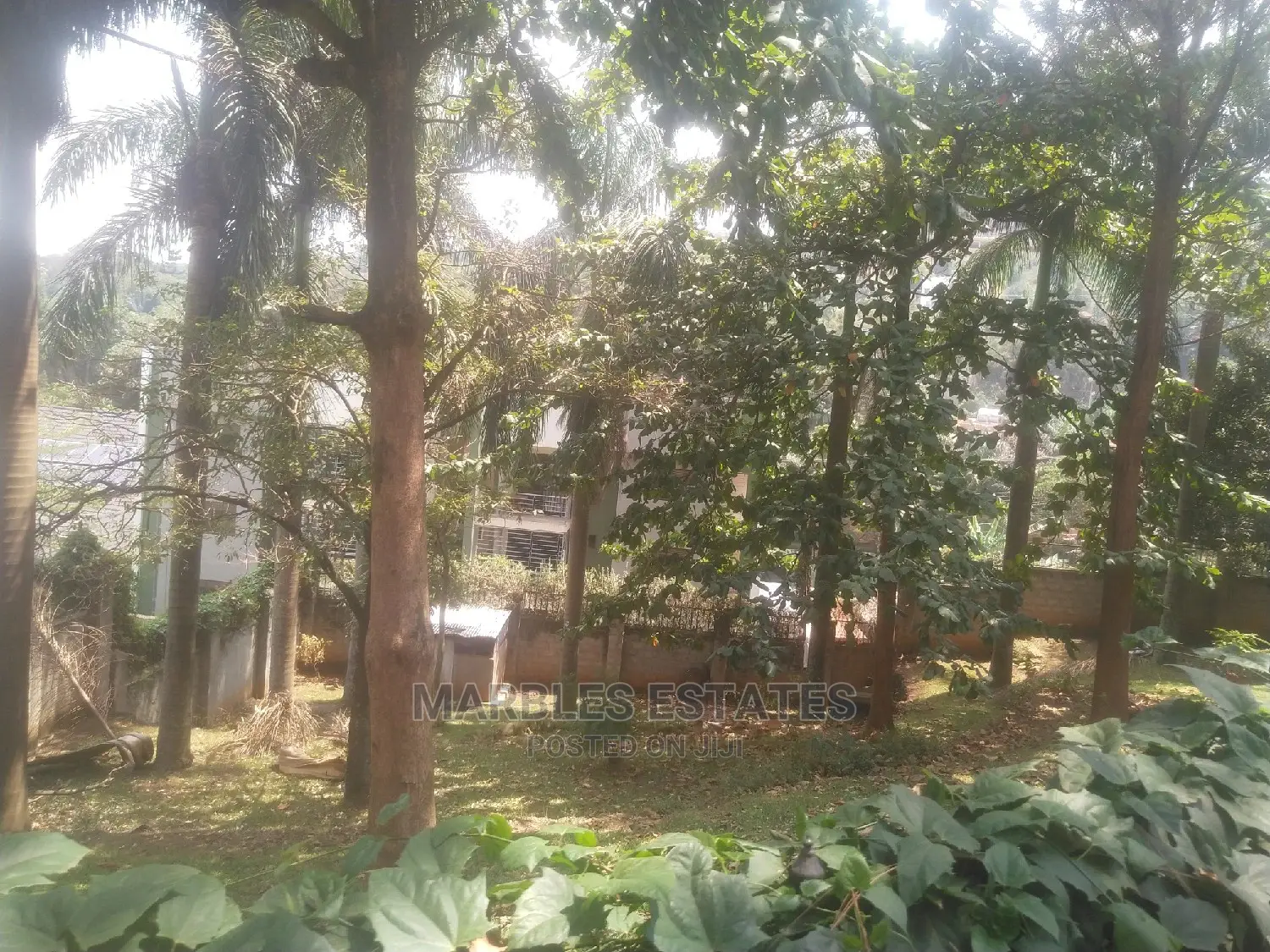 10bdrm House in Kololo, Central Division for Rent